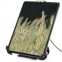 StarTech.com Soporte Seguro para Tablet con Cable de Seguridad con Candado K-Slot - Base para Tablets de 7,9 a 13 Pulgadas - Sop
