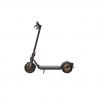 Ninebot by Segway F40I 25 kmh Gris